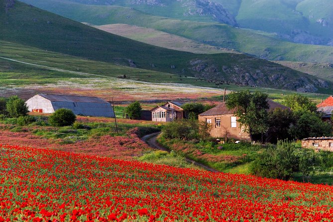 Mtskheta,Jvari,Gori,Uplistikhe(private tour) - What to pack for a long, stone-heavy day