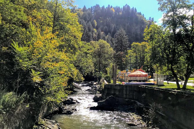 Mtskheta Uplistsikhe Borjomi in one day tour - Stop 5: Borjomi Central Park, Mineral Water You Can Fill Yourself