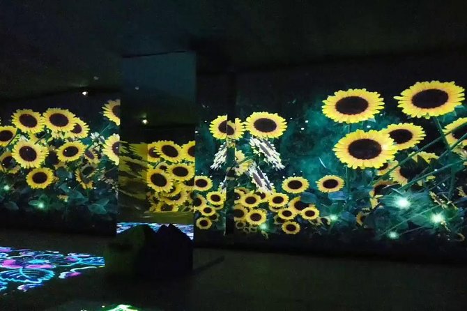 Museum of illusions,Digital Space and Ethnography in Tbilisi - Stop 2: Tbilisi Mall Digital Space, surreal digital art in a 500 square meter room