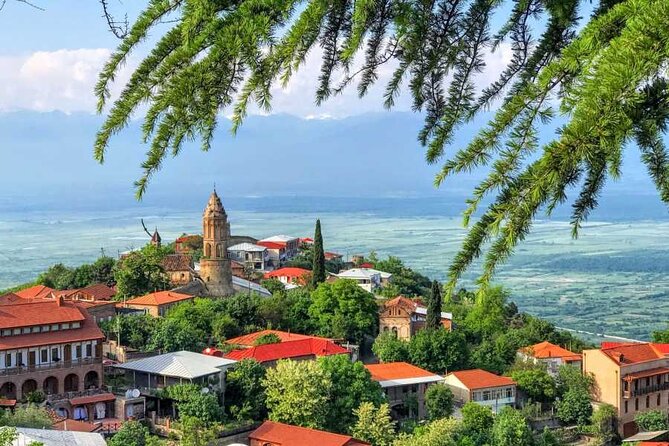 One Day Kakheti Tour with Wine Tasting and Free Churchkhela - Kakheti for One Day, Without Feeling Rushed