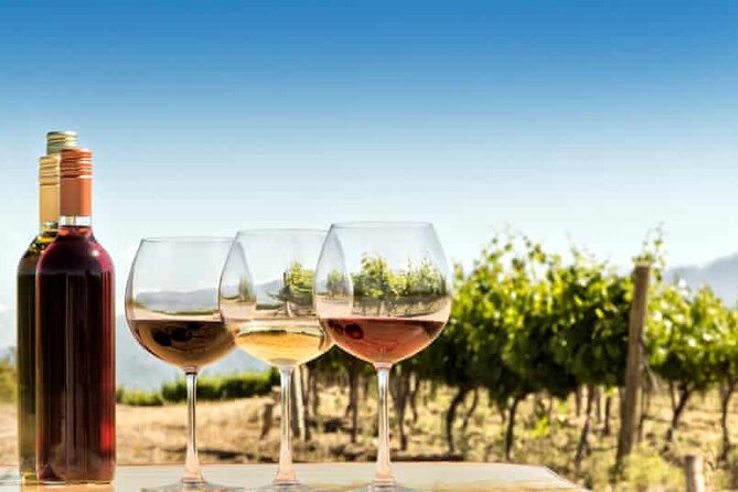 Private Day Trip to Kakheti Wine Region Including Wine Tasting - Your guide in Kakheti: what you gain with a private pro