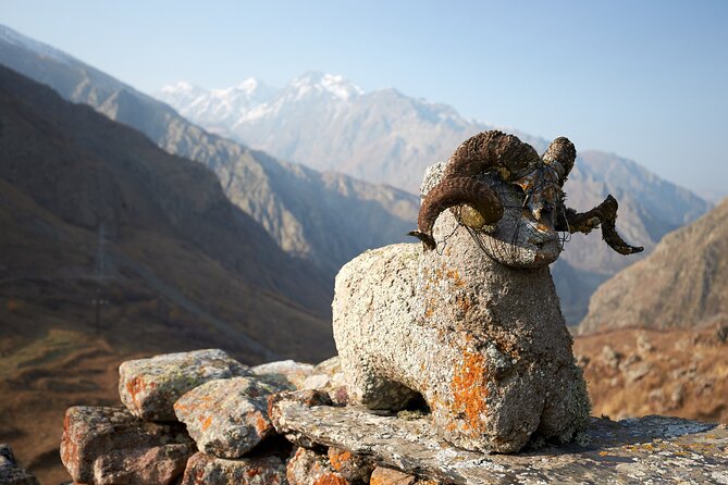 Private day trip to the Caucasus mountains and the Russian border - The Pace, the Lunch Break, and Why Timing Can Change