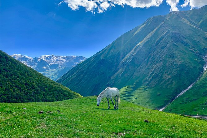 ️Private Full-Day Tour to Mtskheta and Kazbegi(stepantsminda) from Tbilisi - Jvari Church and the 6th-century view over two rivers