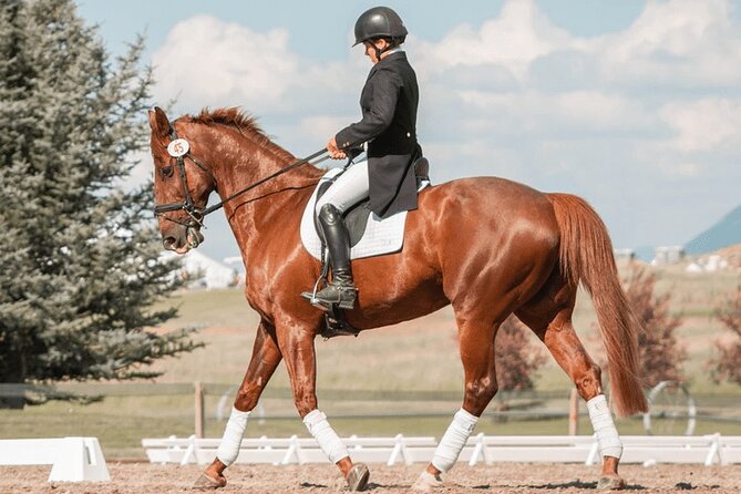 Private Horse Ridding tour - Key highlights at a glance