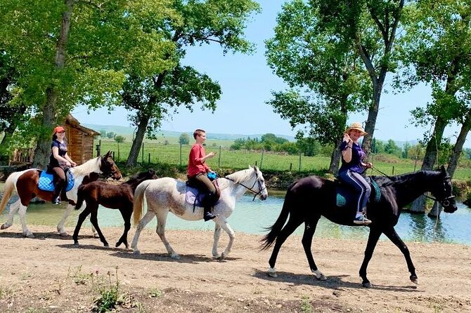 Private Horse Ridding tour - Getting there: Kakheti Highway meet point and how to plan your day