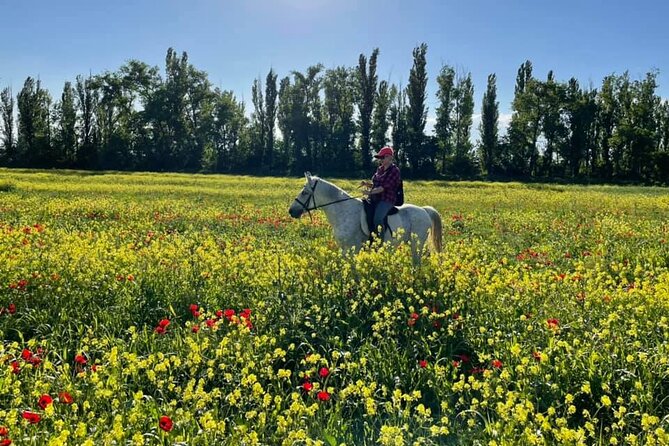 Private Horse Ridding tour - Who should book this private horse riding session