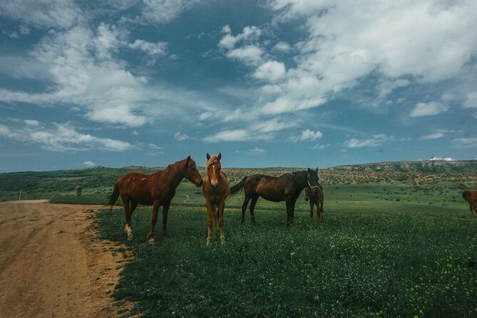 Private Horse Riding Adventure in Tbilisi - Practical timing, weather, and how to show up ready