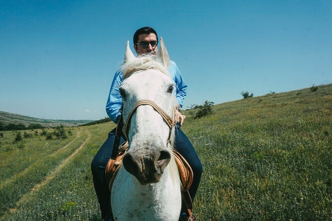 Private Horse Riding Adventure in Tbilisi - Who this private horse riding adventure suits best
