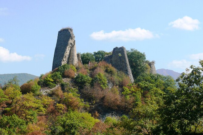Private Tour around Kakheti, Bodbe, Sighnaghi and Telavi - The Sighnaghi Museum ticket: small cost, optional payoff
