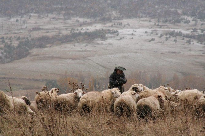 Private Tour to Kazbegi from Tbilisi - Key highlights at a glance