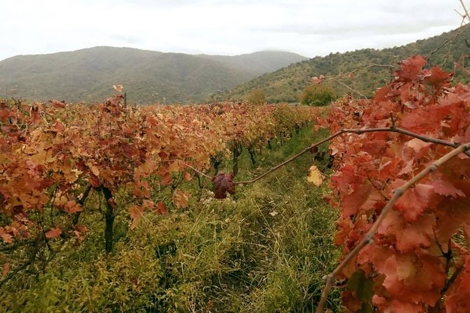 Private Tour to Mtskheta and Georgian Wine Tasting from Tbilisi - Stop 2: Jvari Monastery, the hilltop view that feels earned