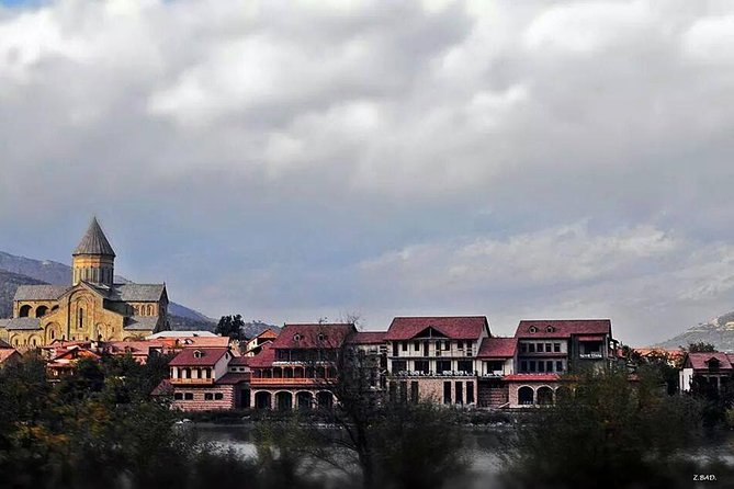 Private Tour to Mtskheta and Georgian Wine Tasting from Tbilisi - Château Mukhrani: what to expect from the estate tour and tasting