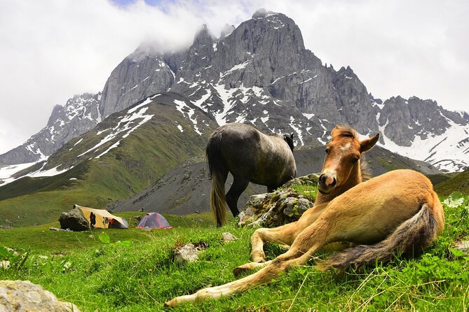 Round Trip Bus Transfer to Juta from Kazbegi - What You Can Do With the Time in Juta (And What Fits Best)