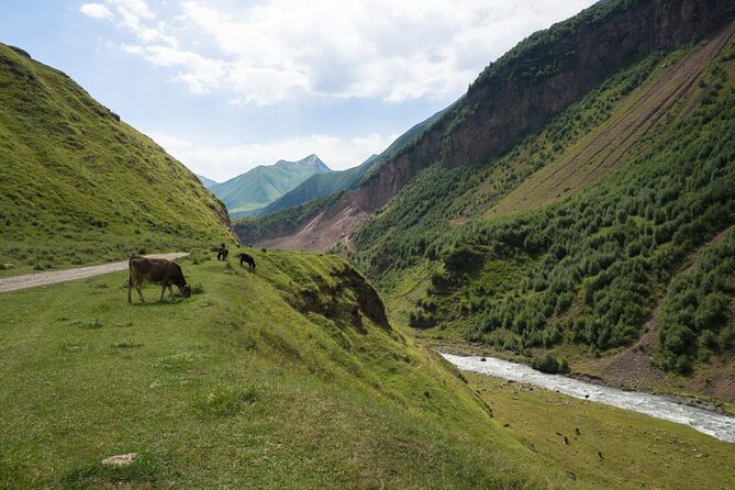 Round-Trip Bus Transfer to Truso Valley from Kazbegi - Zakagori Fortress and the border area: the finish that gives you a win