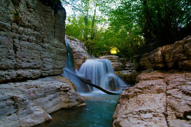 Sabaduri forest, Chronicles of Georgia, wolves and bears Zoo - Sabaduri Forest National Park: a 30-minute nature reset that depends on season