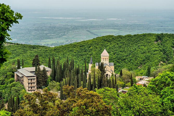 Taste of Kakheti: Wine Tour Bread Baking & Churchkhela Workshop - Telavi’s Giant Plane Tree: A Short Stop That Pays Off for Photos