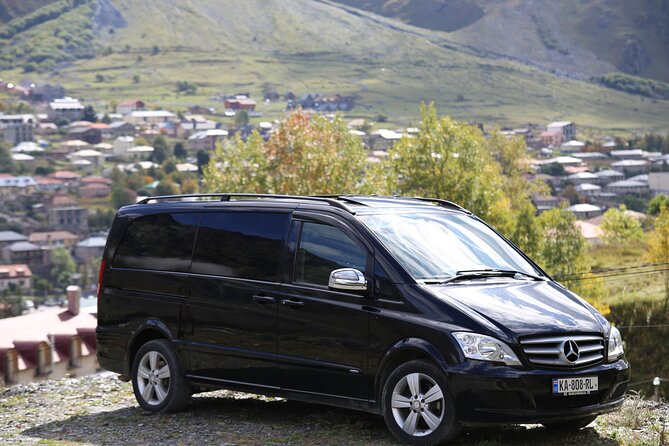 Tbilisi to Batumi, or vice versa - Private Transfer - Vehicle comfort: air-conditioned, driver-led, and built for ease