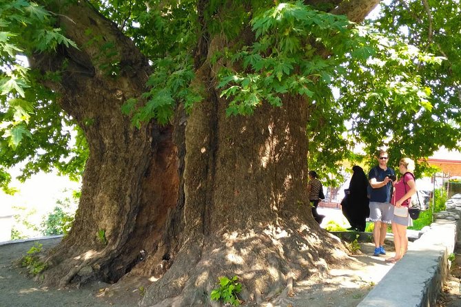 Tour to Kakheti. Sighnaghi –Bodbe Monastery –Tsinandali –Telavi –Winery –Gombori - Winery Time in Kakheti: Learn How Wine Fits the Region