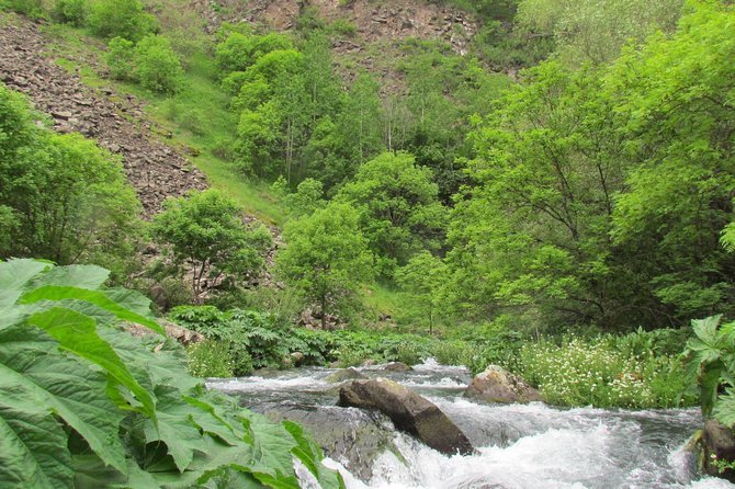 Trip to The Diamond Bridge and Dashbashi Canyon - Mtatsminda Amusement Park: evening views without a long commitment (30 minutes, free)