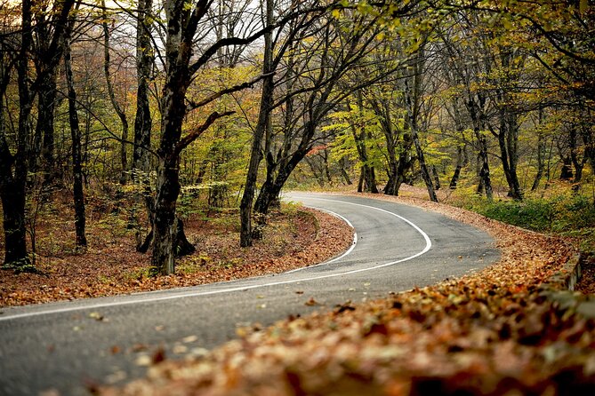 Whole day Wine Tour to Kakheti from Tbilisi - Wine Tasting Value: What You’re Getting for $30
