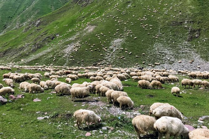 Wild Georgia 4WD PACK Adventure through Kakheti and Kazbegi 2in1 - FAQ