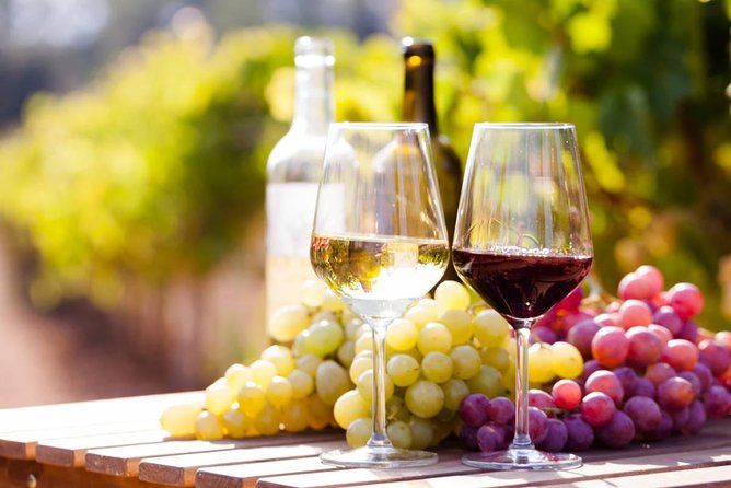 Wine Tasting Tour in Georgia's Cradle of Wine - Wine country in Kakheti, starting from Tbilisi: what you really get