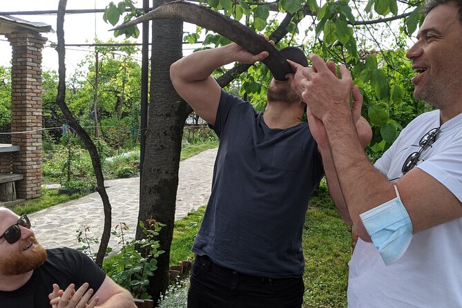 Wine Tasting Tour in Georgia's Cradle of Wine - Price check: what $923.08 covers, and what to budget separately